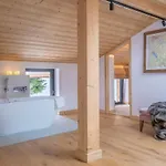 Les Grands Montets Chalet